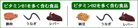 ビタミンB1を含む食品。豚肉、うなぎ、レバー。ビタミンB2納豆、うなぎ、レバー。