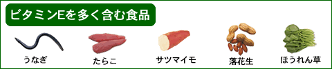 ビタミンEを多く含む食品。うなぎ、たらこ、サツマイモ、落花生、ほうれん草ほか