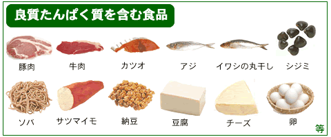 良質たんぱく質を含む食品。豚肉、牛肉、カツオ、アジ、イワシの丸干し、シジミ、ソバ、サツマイモ、納豆、豆腐、チーズ、卵　等