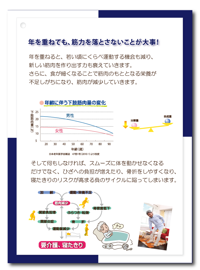 寝たきりのリスク、筋力低下の要因、年を重ねても筋力を落とさない、ひざへの負担・骨折、筋肉減少