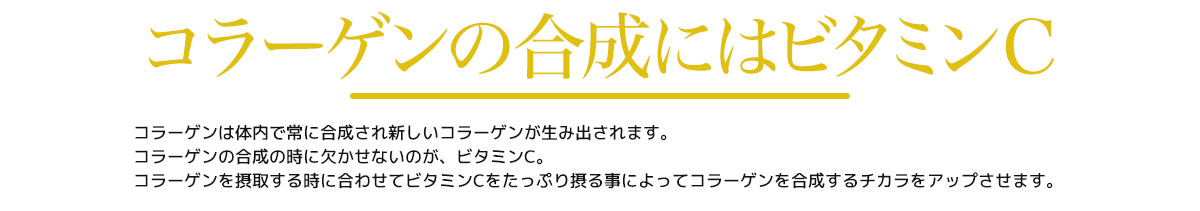 シンデレラ乳酸菌®(H61株乳酸菌)配合 核酸＆プラセンタコラーゲン